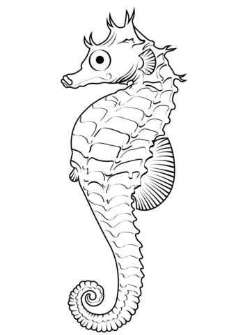 Lined Seahorse (Hippocampus Erectus) Coloring Page